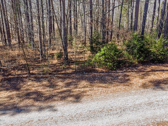 2nd image of 11 Marina Point Ln