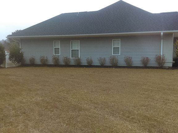 Large Side Yard-Azaleas