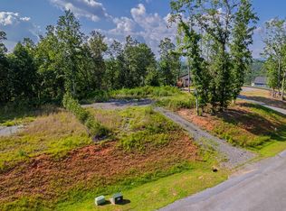 121 Jakes Landing Way, Ellijay, GA 30540