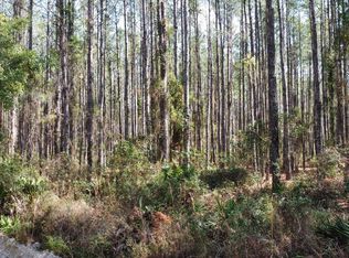 NE 22nd Ln, Hawthorne, FL 32640