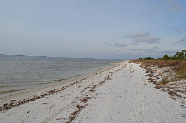 The shoreline looking west a
