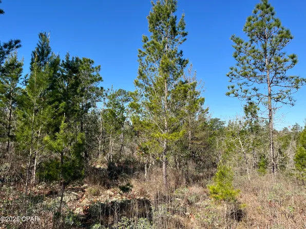 LOT 18 Carey Blvd, Chipley, FL 32428