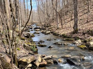 4913 Snake Hollow Rd, Sneedville, TN 37869