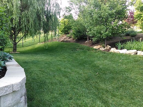 Shady, tree-filled back yard