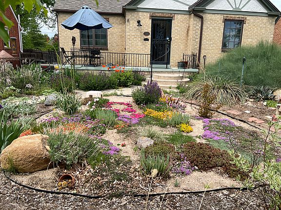 Beautiful variety of succulents, vibrant flowering ground cover, poppies and more.