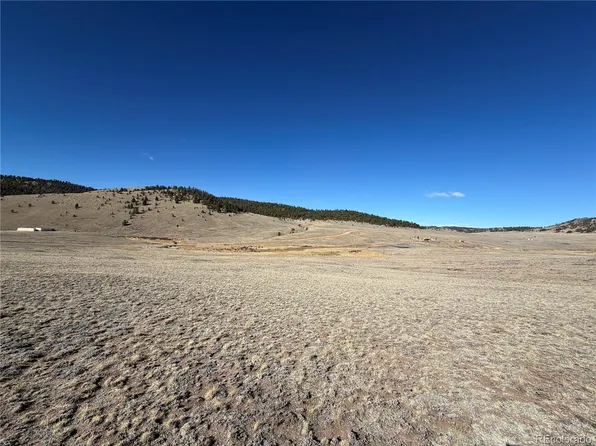 66 Wagon Wheel Road LOT 011, Hartsel, CO 80449