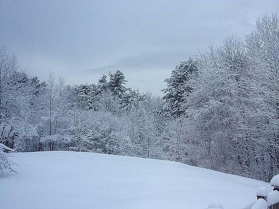 Winter view off the deck