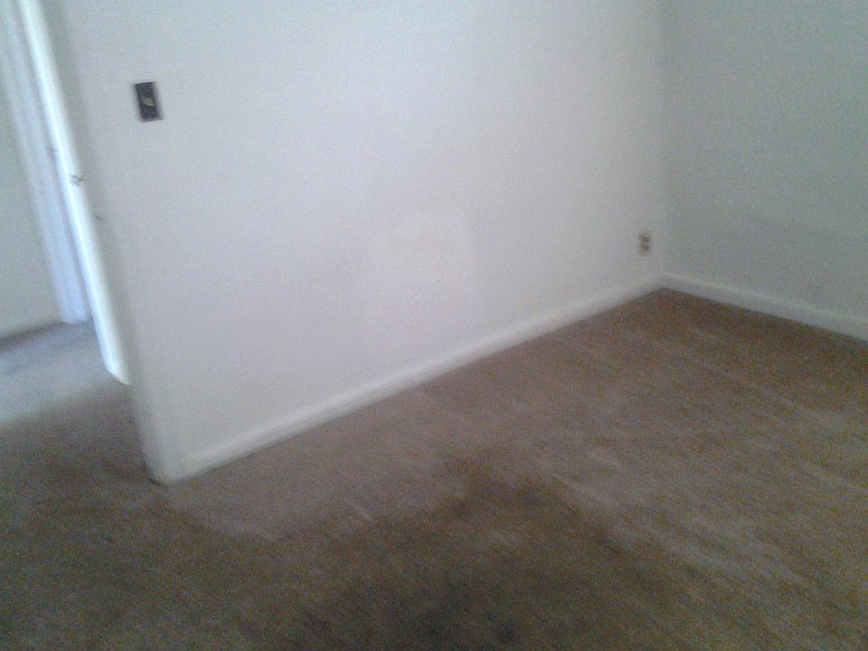 1st image of 569 N 11th St #D