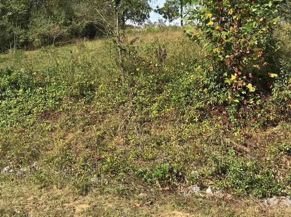 LOT 19 Christin Ln, Chilhowie, VA 24319