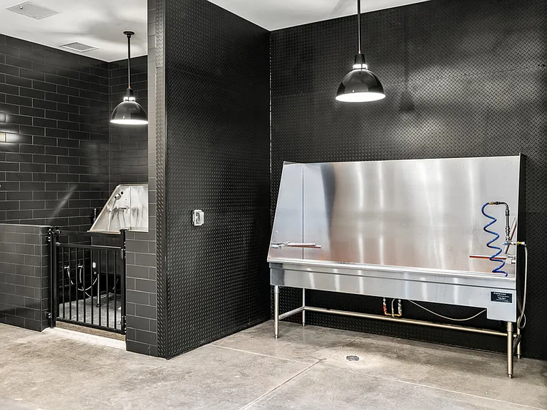 Pet-Friendly Perks at Park Avenue Apartments in SLC, UT