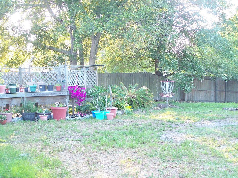 Part of Back Yard
