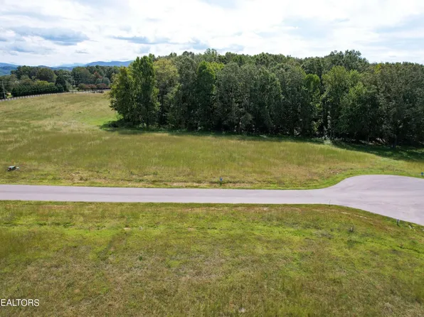 19 Sunset Cove Dr, White Pine, TN 37890