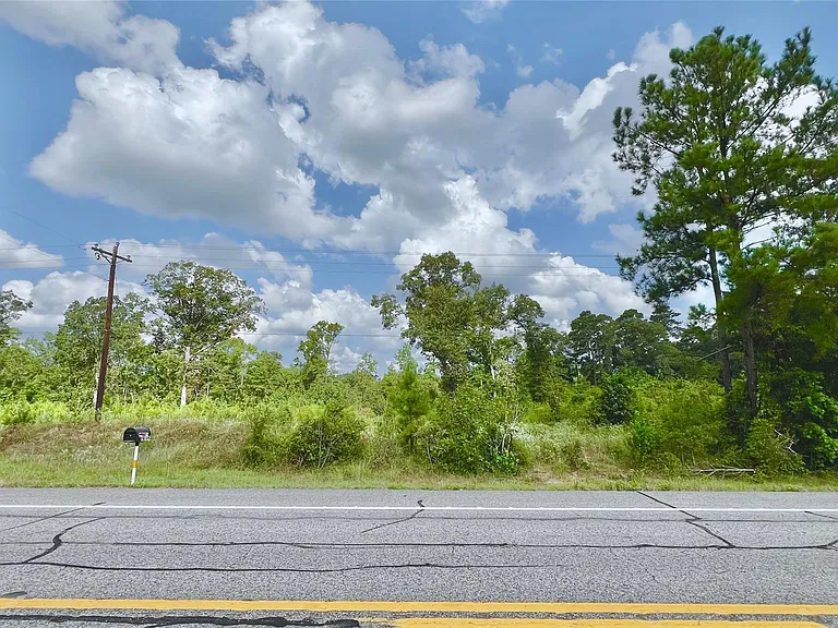 17171 E FM 1097 Rd — Photo 8