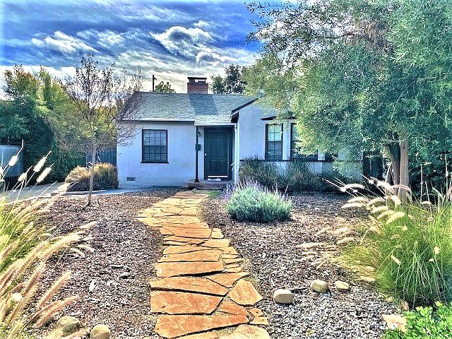 Lovely draught tolerant landscape w olilve trees, succulents, crepe myrtle, lavender, cactus, ornamental grasses.