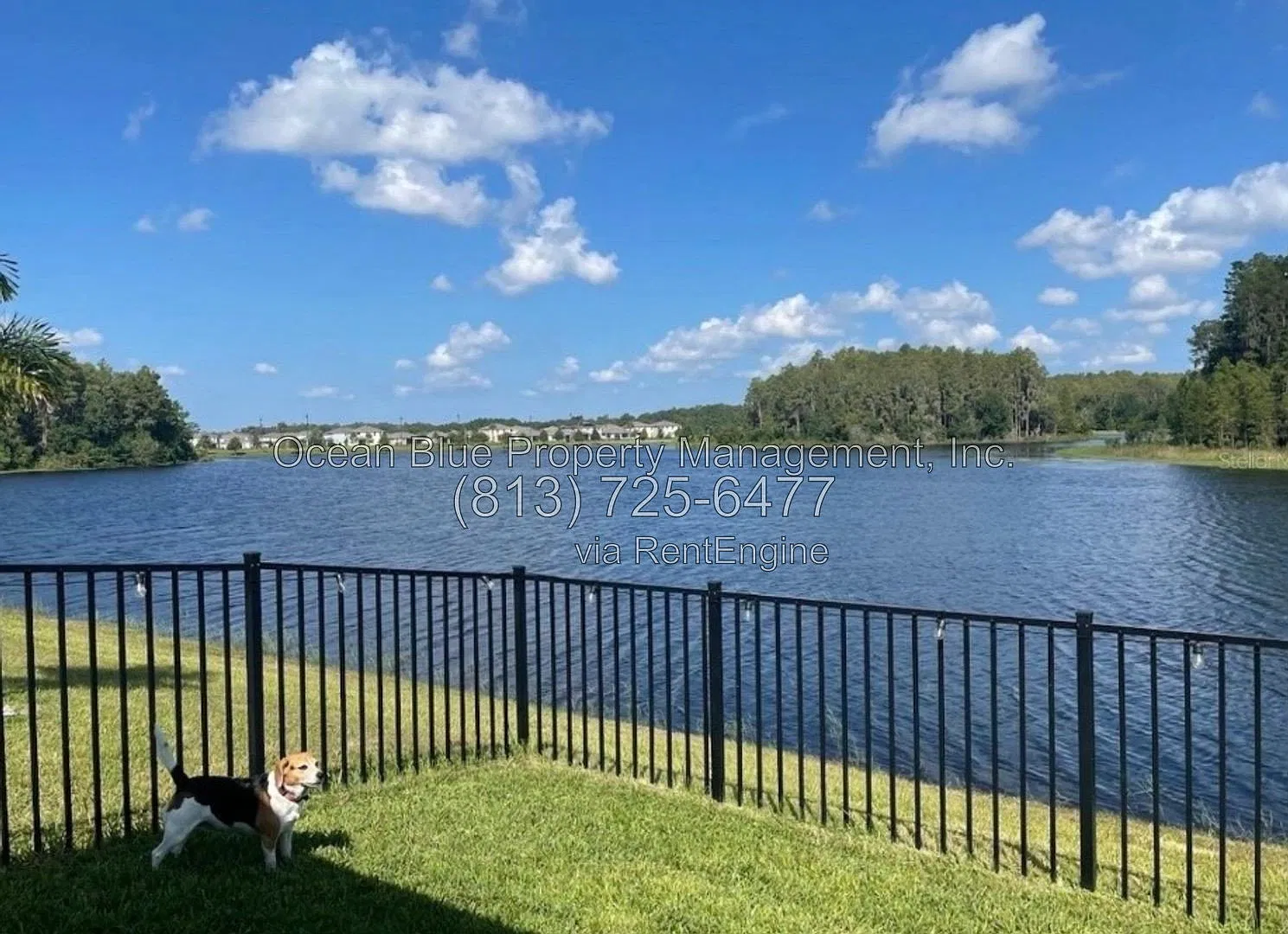 3 bed, 2.0 bath, 1516 sqft, $2,550 — Photo 3