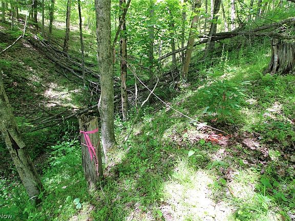 5th image of 166 Township Rd