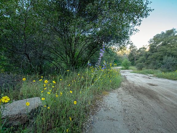 4th image of 13804205 Pennyroyal Ln