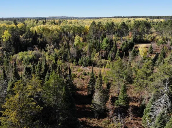 LOT 10 River Hill Rd, Conover, WI 54519