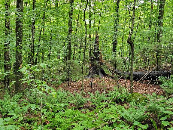 2nd image of 00 Heartwellville View Road #38