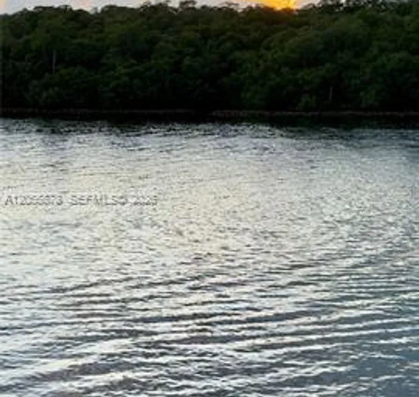 456 Poinciana Dr #CU-1620 — Photo 23