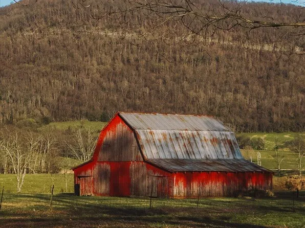 11414 Upper East Valley Rd, Pikeville, TN 37367