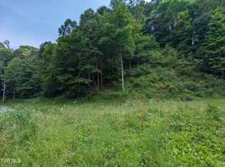 New Hurland Church Ln, Hiltons, VA 24258