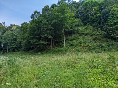 New Hurland Church Ln, Hiltons, VA, 24258