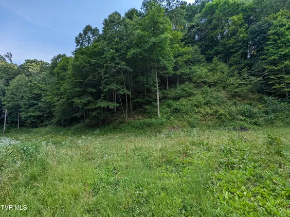 New Hurland Church Ln, Hiltons, VA 24258