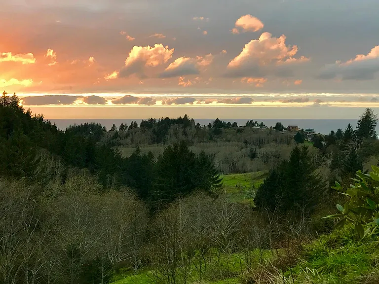 47455 Highway 101 S — Photo 11