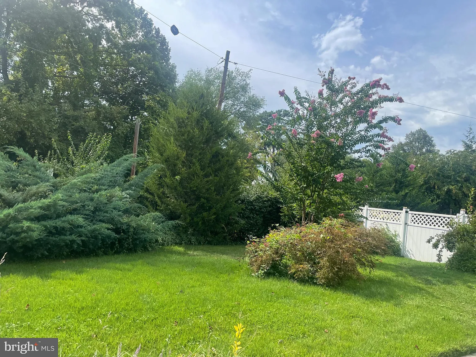 3 bed, 1.0 bath, 1734 sqft, $2,700 — Photo 3