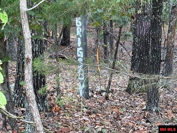 5th image of 001-09384 Camp Galilee Rd #0