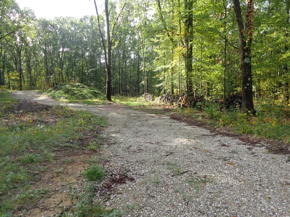 PARCEL 109th Ave #A, Pullman, MI 49450