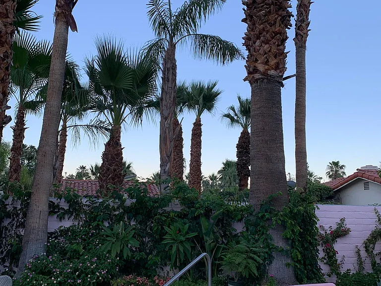 114 E Palo Verde Ave — Photo 13