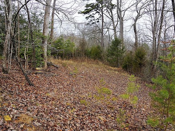 4th image of Tbd Old Liberty Road