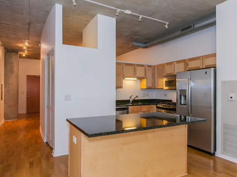 700 N Larrabee St #1003 — Photo 6