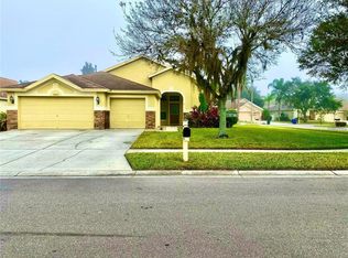 19625 Bergenfeld Dr, Land O Lakes, FL 34638