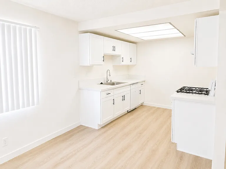 704 S Webster Ave #3 — Photo 2