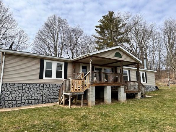 6198 Webster Rd, Cowen, WV 26206