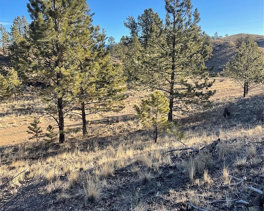 1st image of 00 Tarryall Road LOT 21