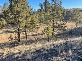 00 Tarryall Road LOT 21, Hartsel, CO 80449