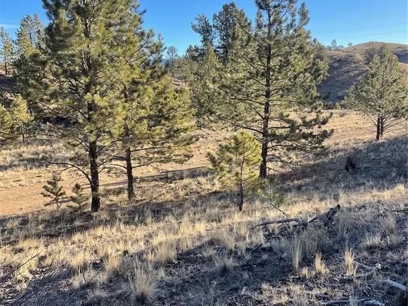 00 Tarryall Road LOT 21, Hartsel, CO 80449