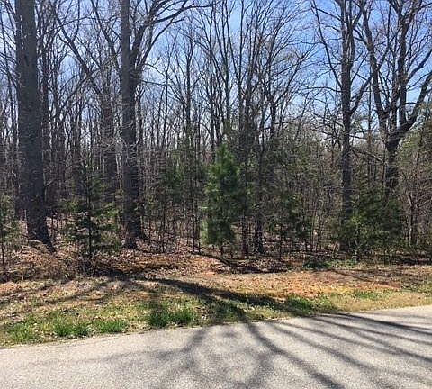2nd image of LOT 8 Quinlan Ln