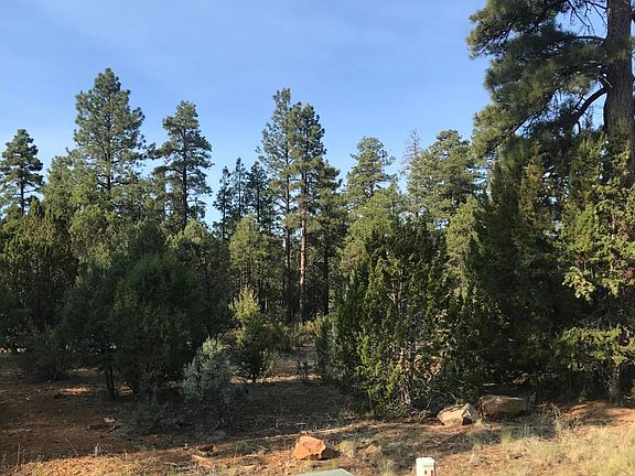 3rd image of 3429 Ponderosa Loop Lot 126