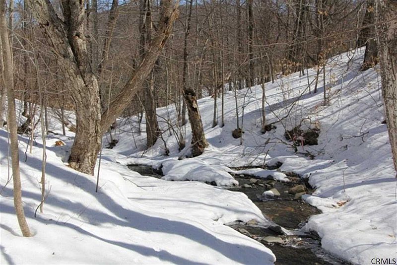 3rd image of 0 BEARDS HOLLOW Road