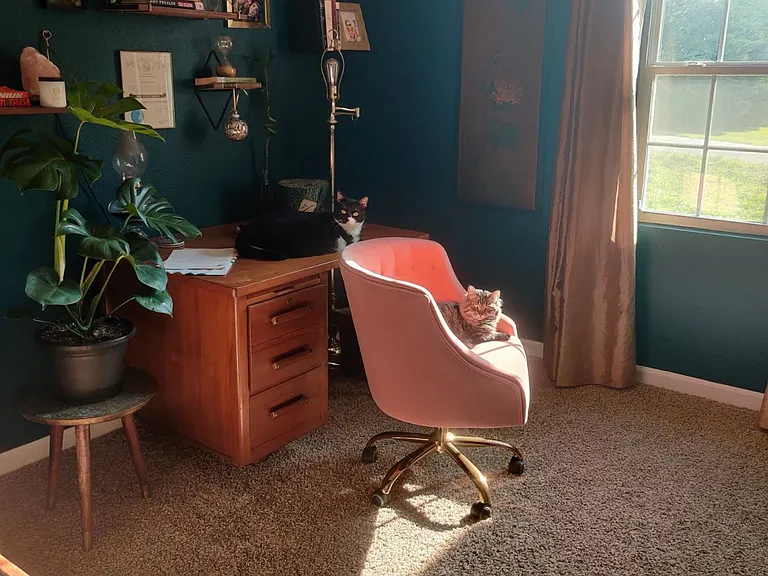 40 Eddie Dr — Photo 18