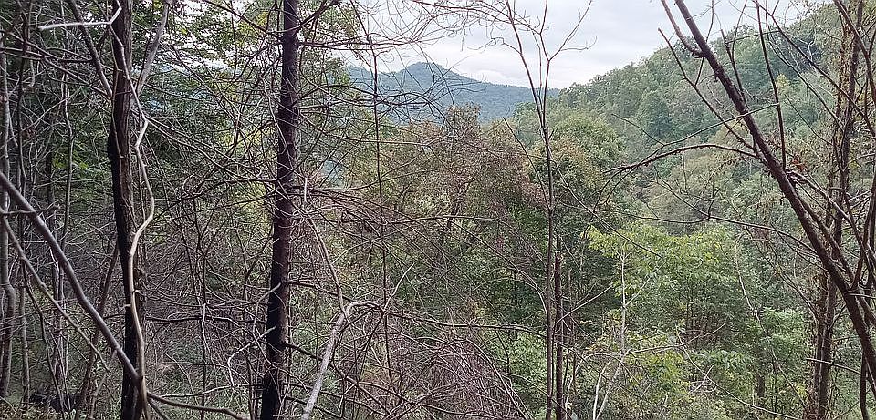 1st image of 0 Dan Branch Rd