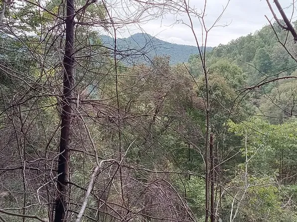 0 Dan Branch Rd, Marshall, NC 28753