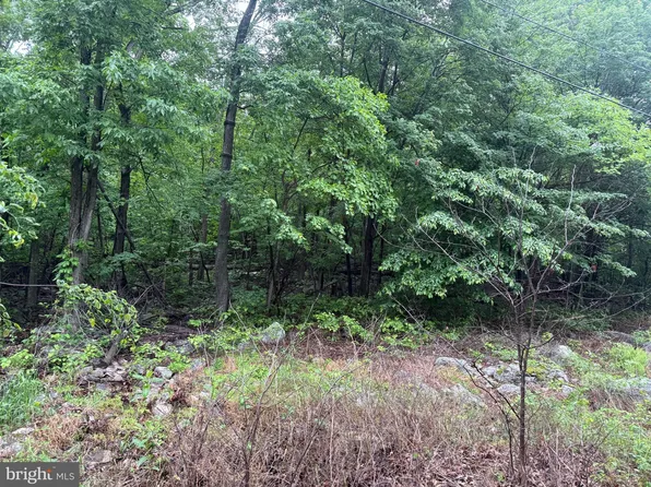 Iroquois Trl Lot 75, Winchester, VA 22602