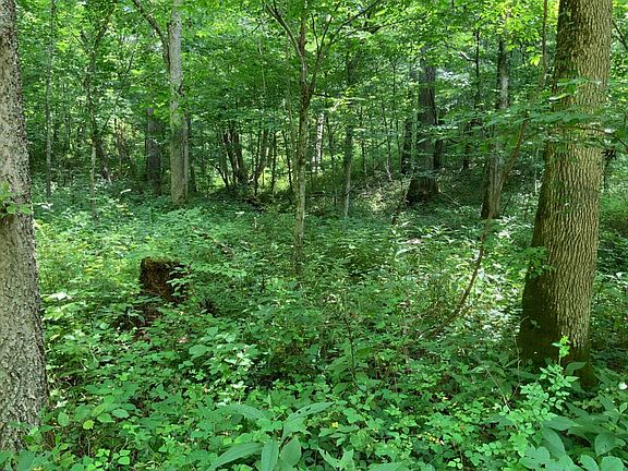 4th image of 91 Flag Fork Rd
