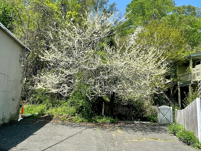 306 Piermont Ave — Photo 39